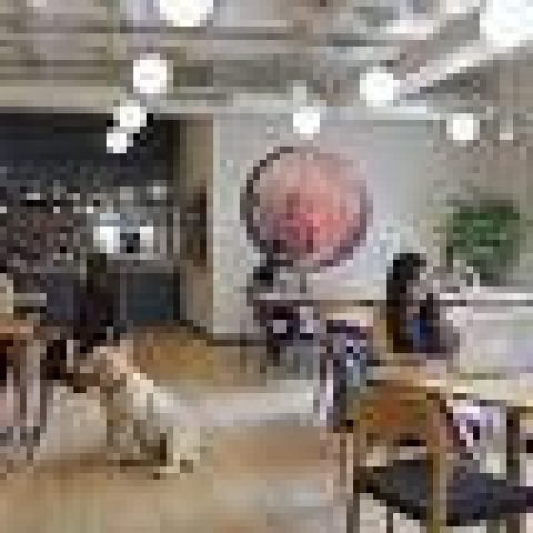 India’s co-working startups set for shakeup: WeWork enters … – Moneycontrol.com